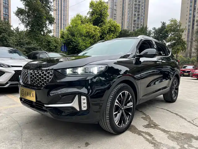 WEI PAI WEI BRAND VV6 2021