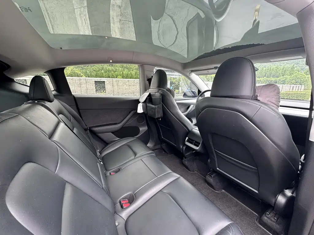 Tesla Model Y — миниатюра 15