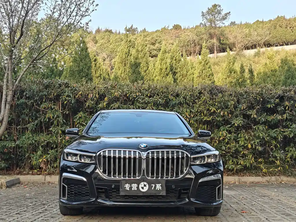 BMW 7 Series — миниатюра 2