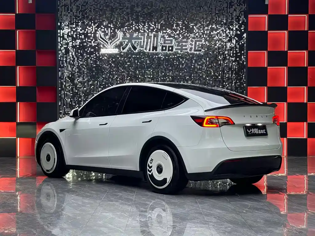 Tesla Model Y — миниатюра 4