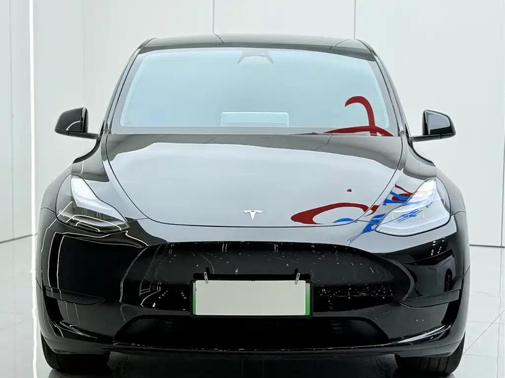 Tesla Model Y — миниатюра 3