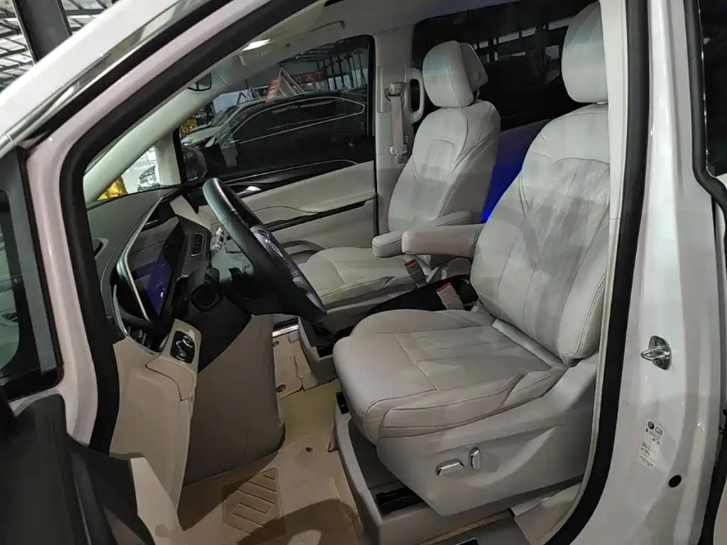 Buick GL8 — миниатюра 15