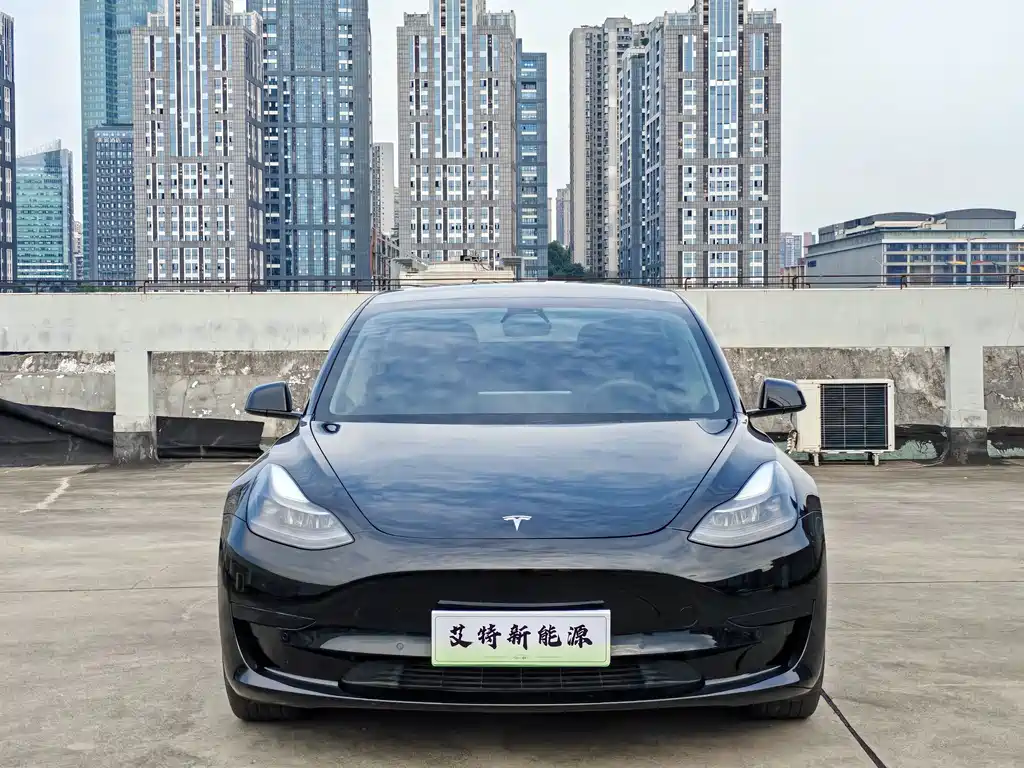 Tesla Model 3 — миниатюра 3