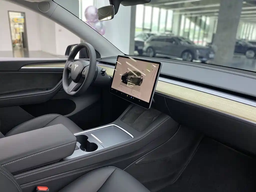 Tesla Model Y — миниатюра 18