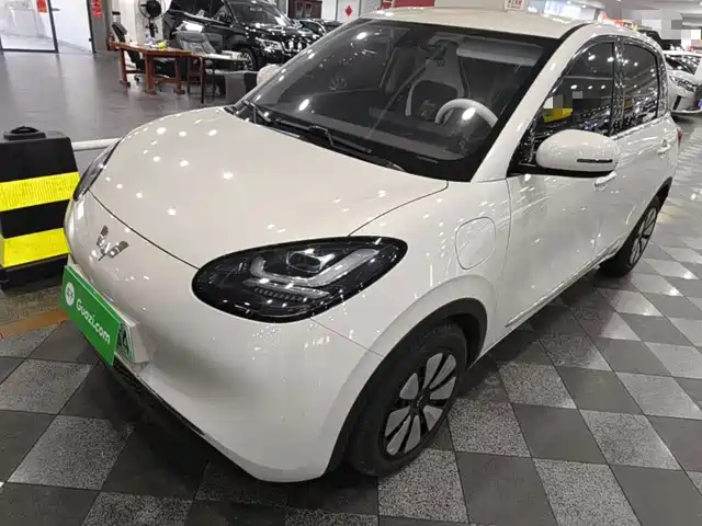 2024 Wuling Motors Binguo