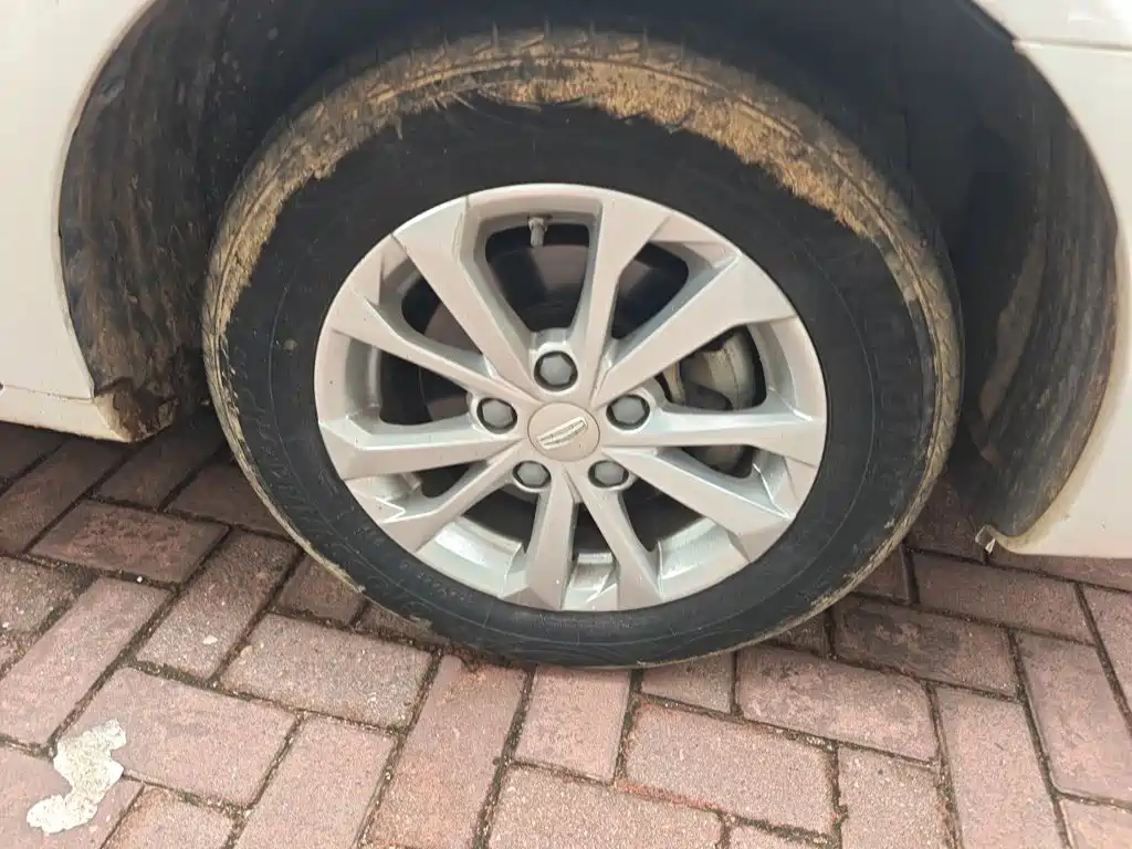 Geely Emgrand — миниатюра 8