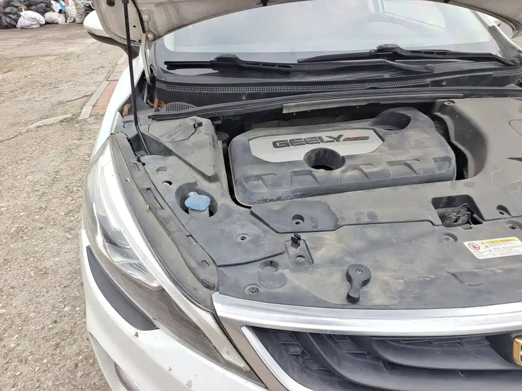 Geely Emgrand GS — миниатюра 20