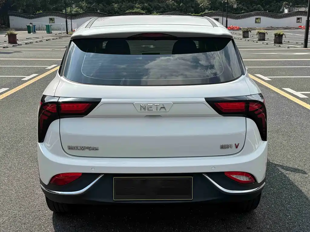 Neta Neta V — миниатюра 4