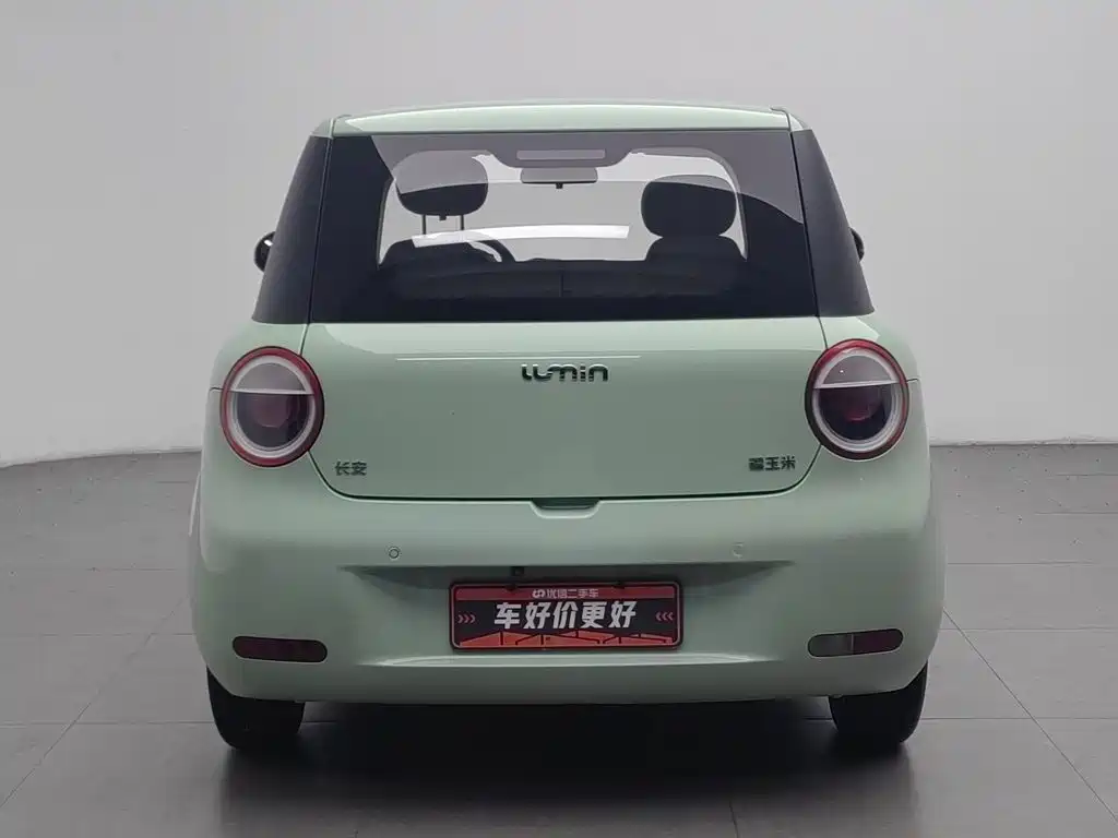 Qiyuan Lumin — миниатюра 4
