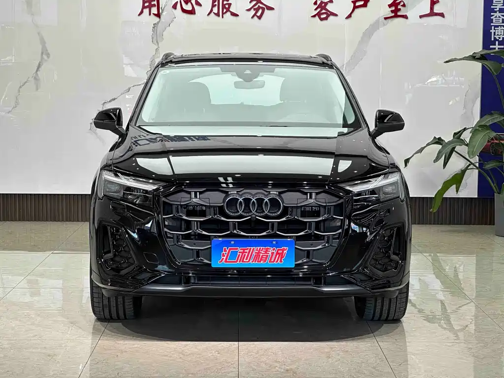 Audi Q7 — миниатюра 2