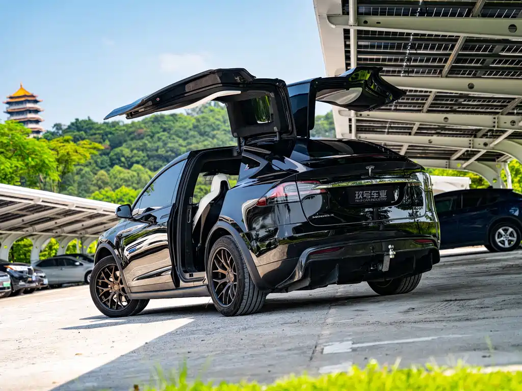 Tesla Model X — миниатюра 11