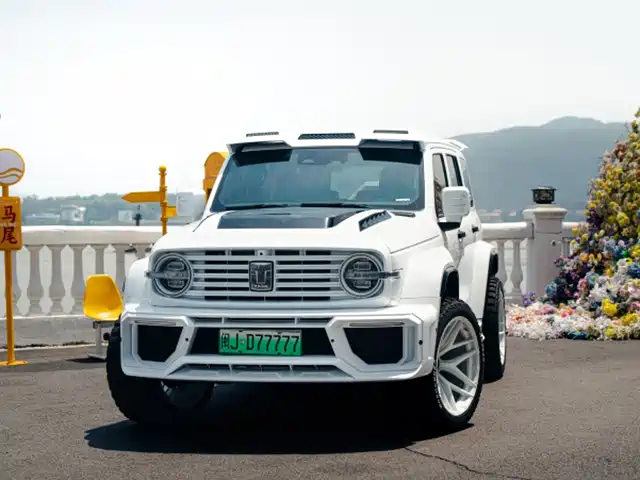2025 TANK 300