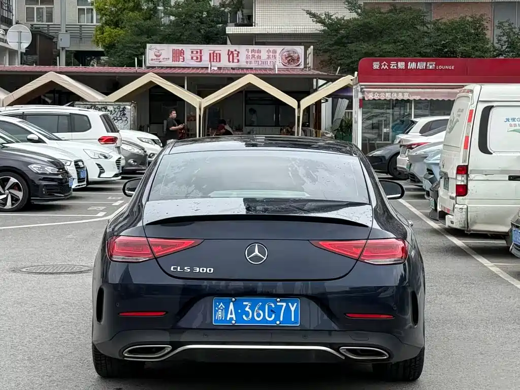 Mercedes-Benz CLS CLS 300 Luxury Type, фото 9