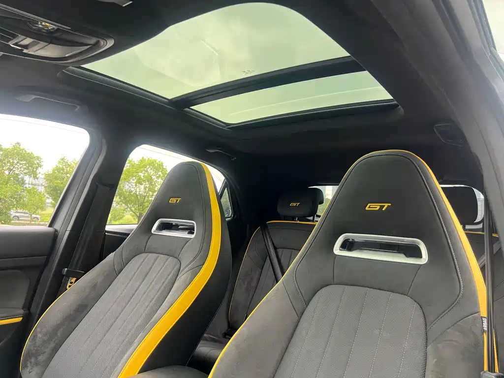 Ora Ora Good Cat GT — миниатюра 25