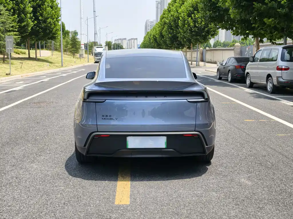 Tesla Model Y — миниатюра 5