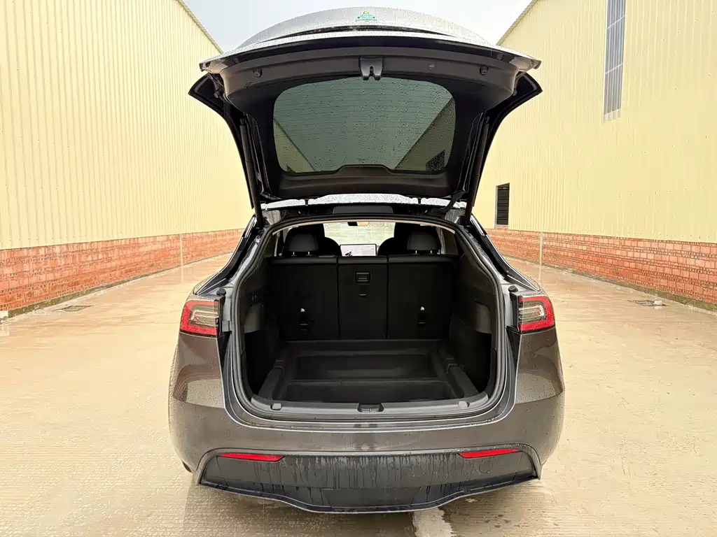 Tesla Model Y — миниатюра 31