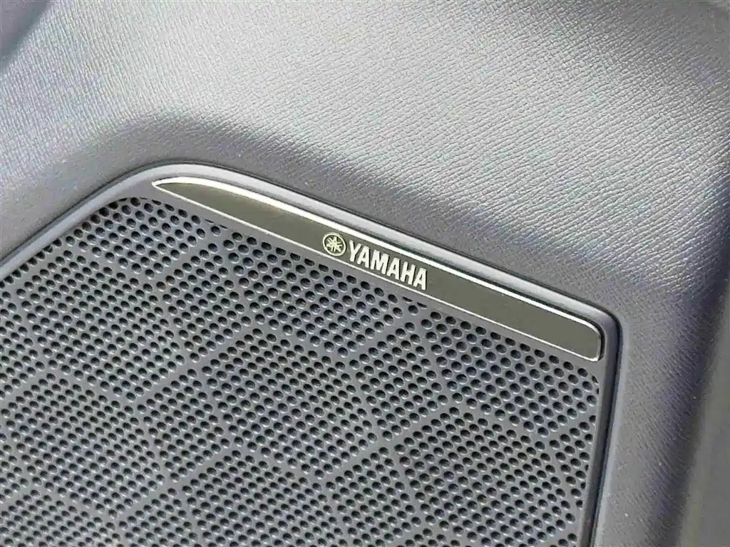 GAC TRUMPCHI YEARNING FOR M8