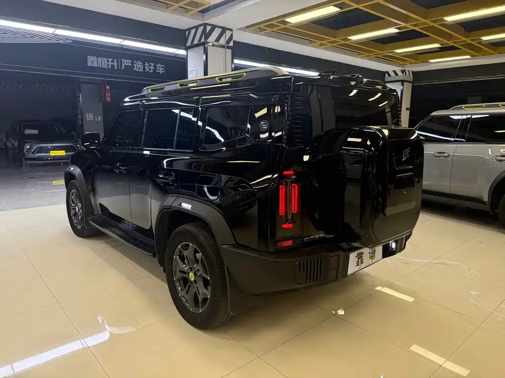 Shanhai Краткосрочный путешественник C-DM — миниатюра 6