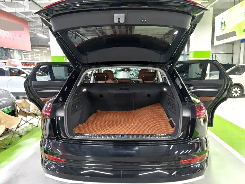 Audi e-tron (Import) — миниатюра 8