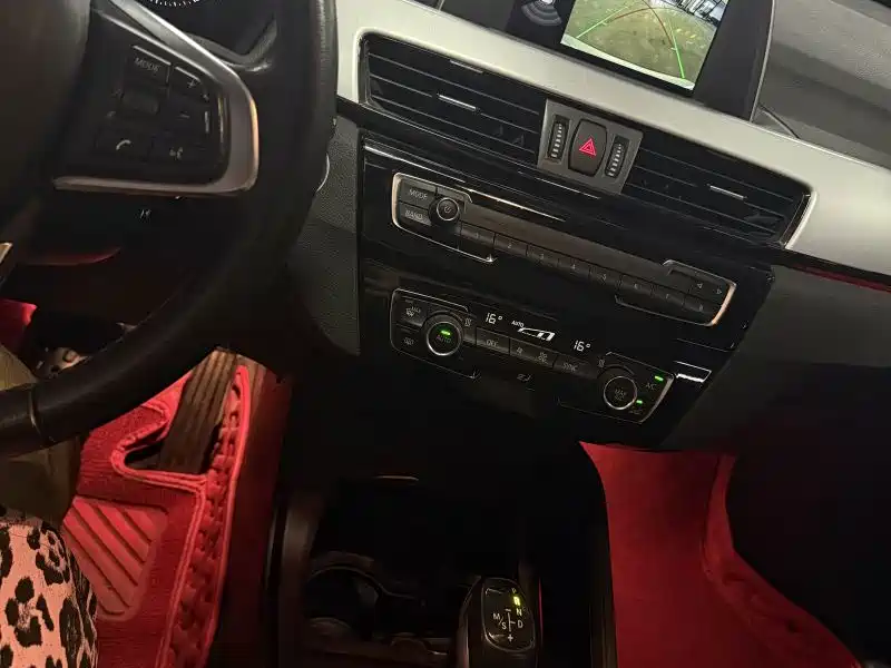 BMW X1 — миниатюра 13