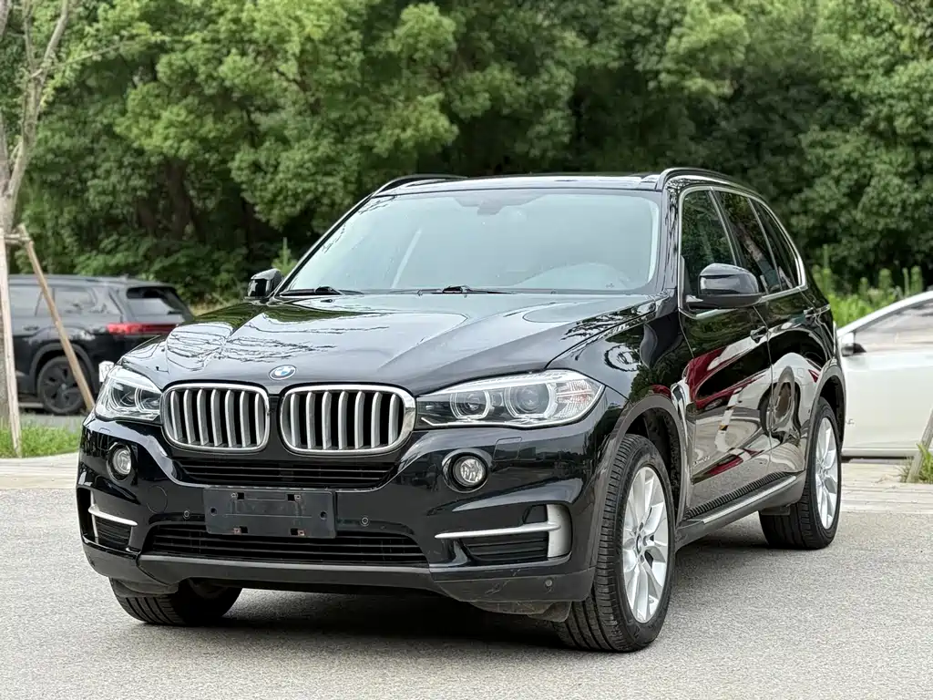 BMW X5 2014 xDrive35i Elegant