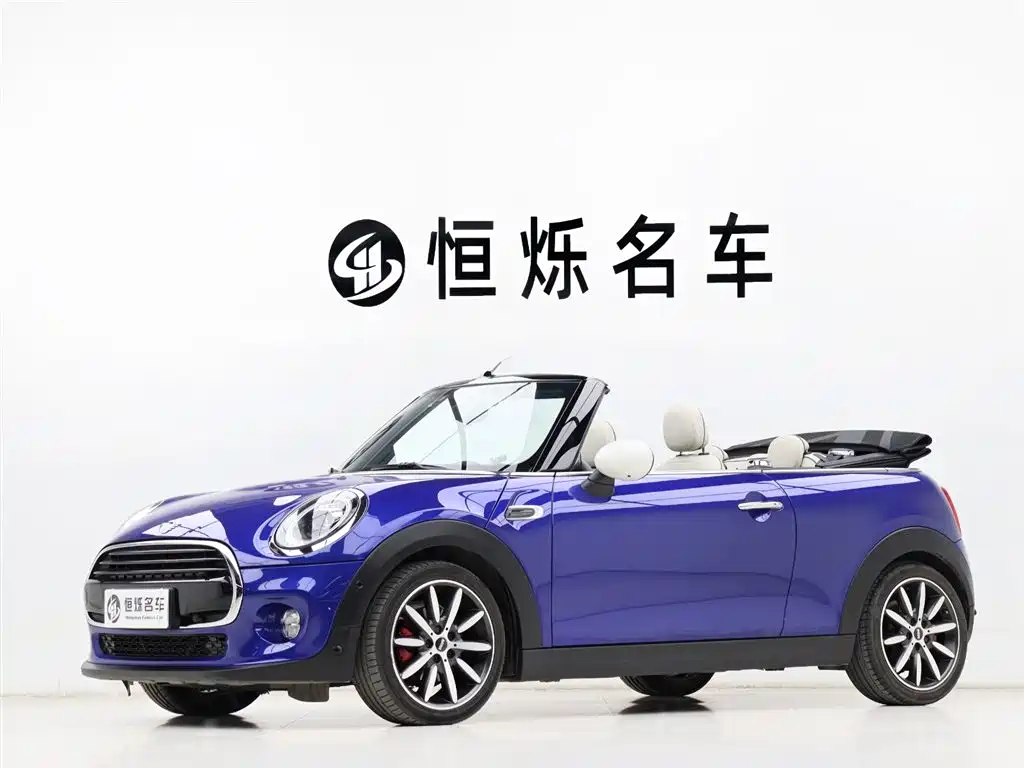 Mini Mini 2019