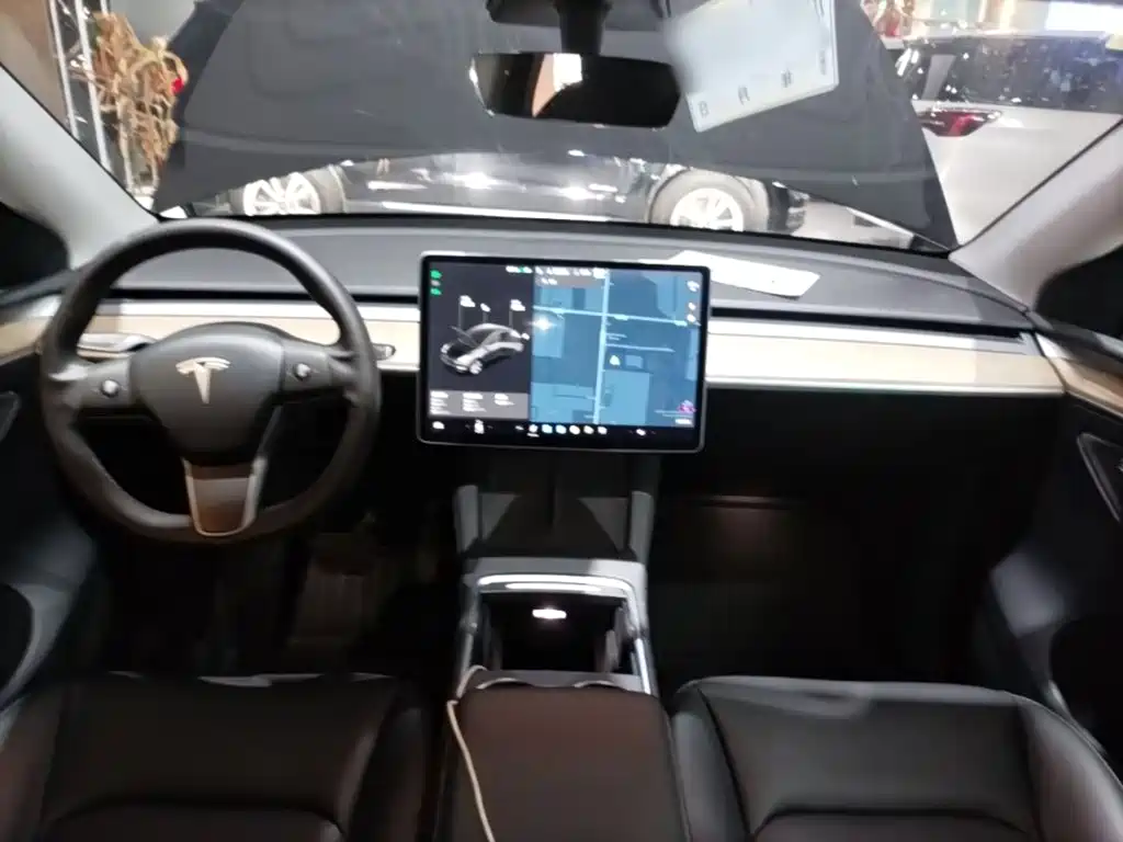 Tesla Model Y — миниатюра 10