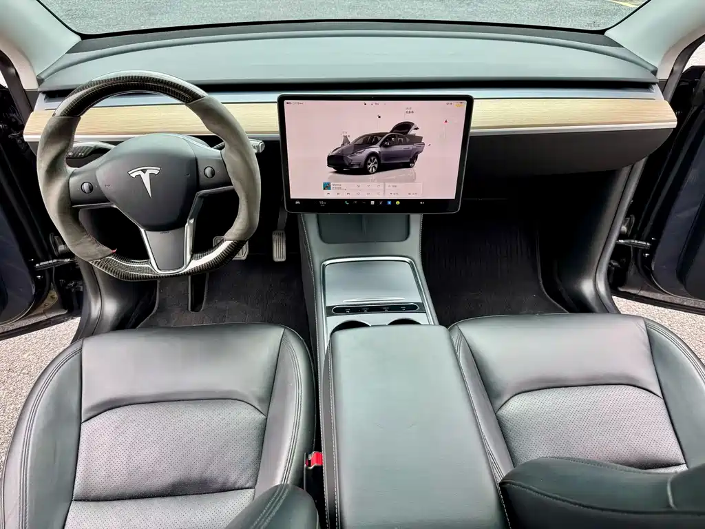 Tesla Model Y — миниатюра 7