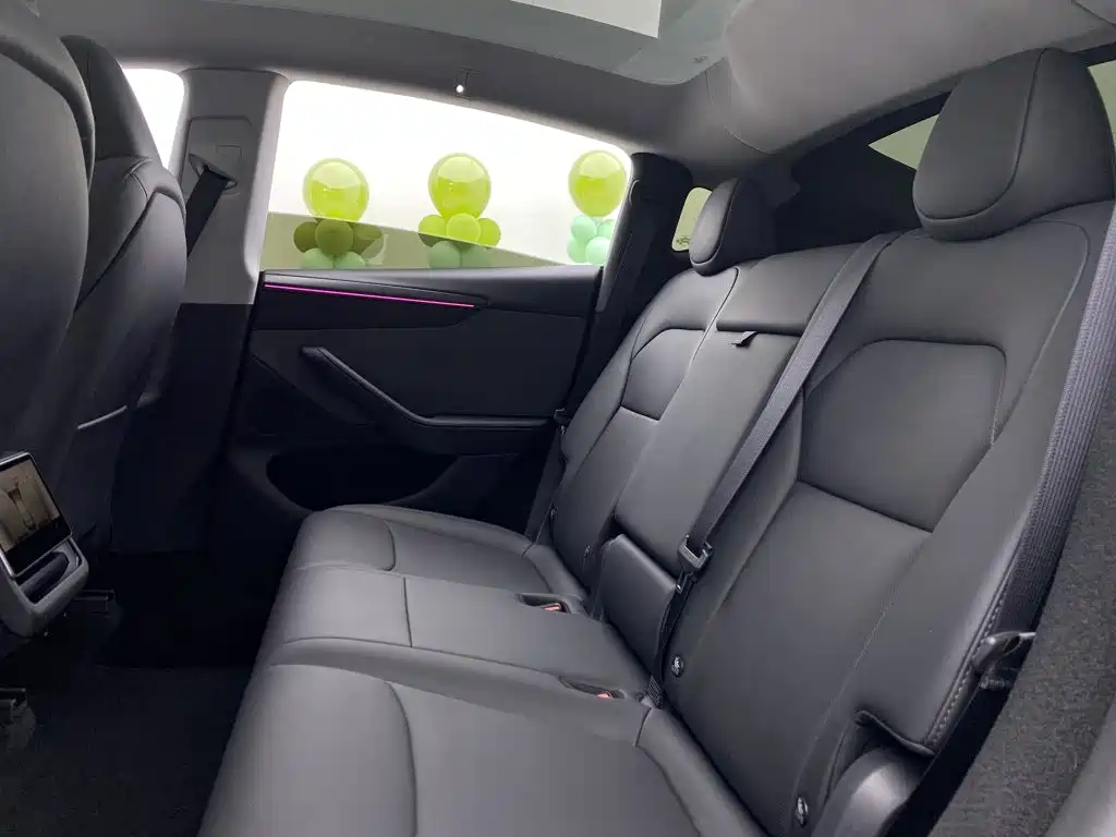 Tesla Model Y — миниатюра 32