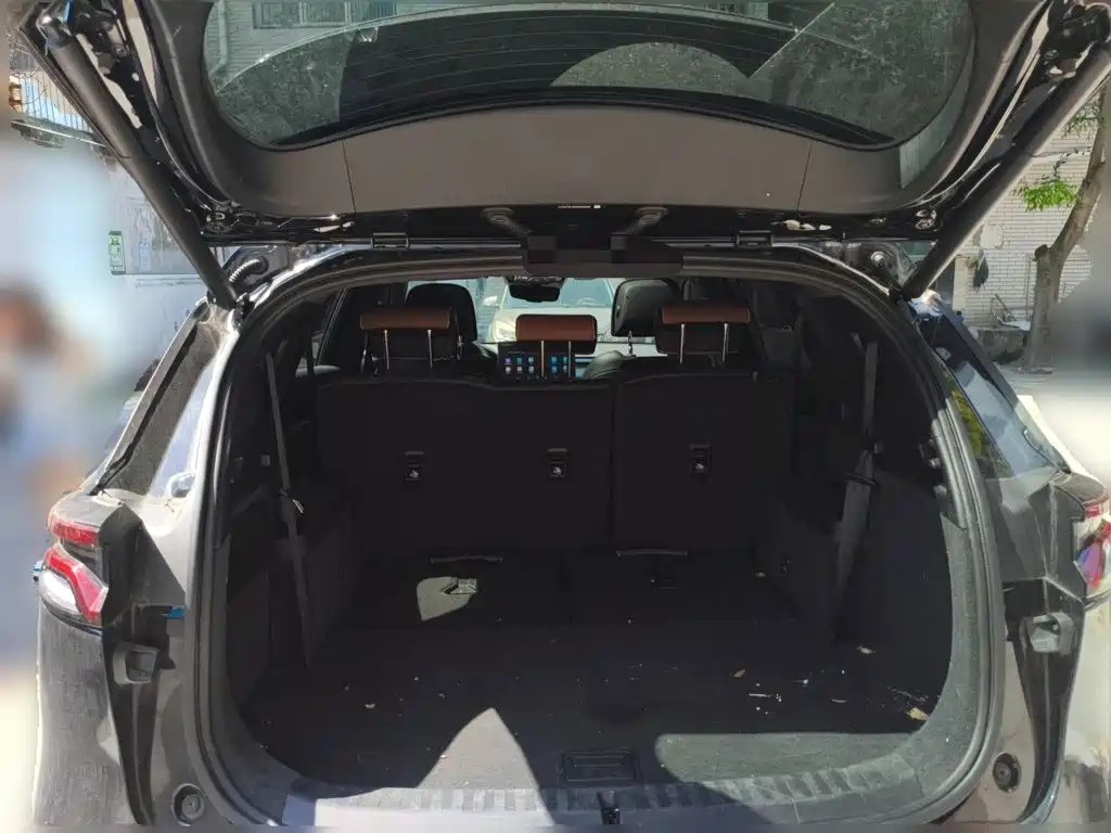 BYD Tang New Energy — миниатюра 20