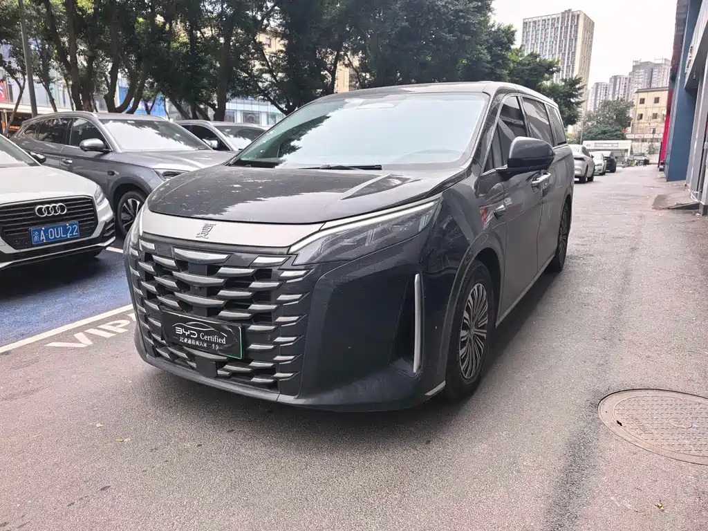 Byd Xia 2025