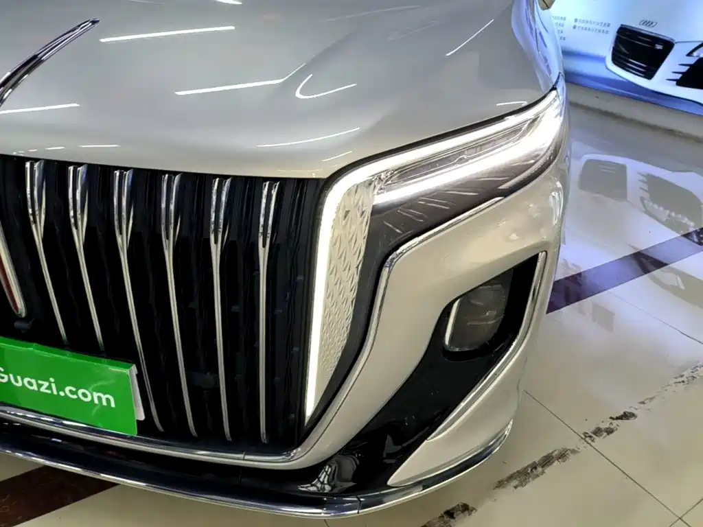 Hongqi Hongqi HQ9 — миниатюра 24
