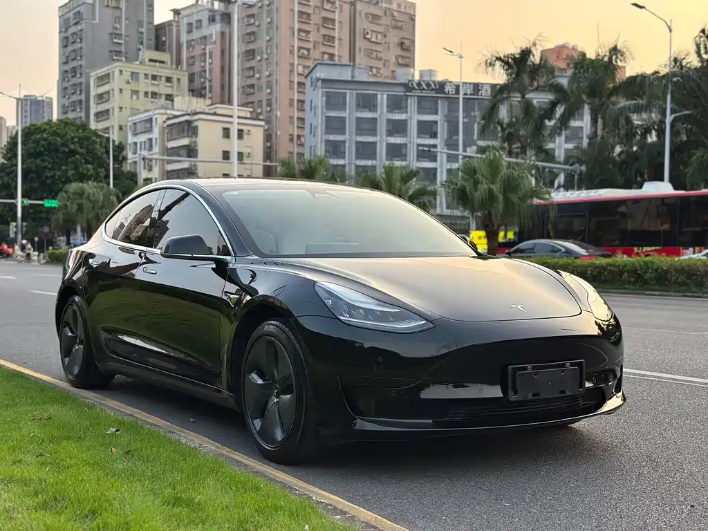 Tesla Model 3 — миниатюра 3
