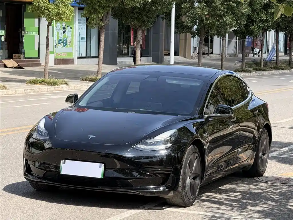 Tesla Model 3 2020