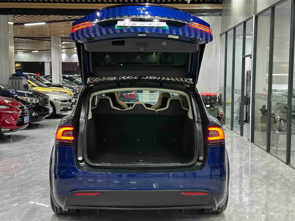 TESLA MODEL X