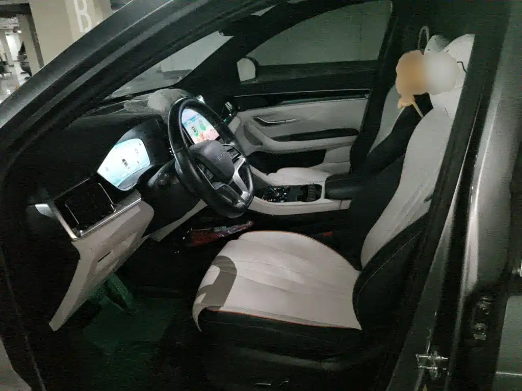 BYD PLUS New Energy — миниатюра 11