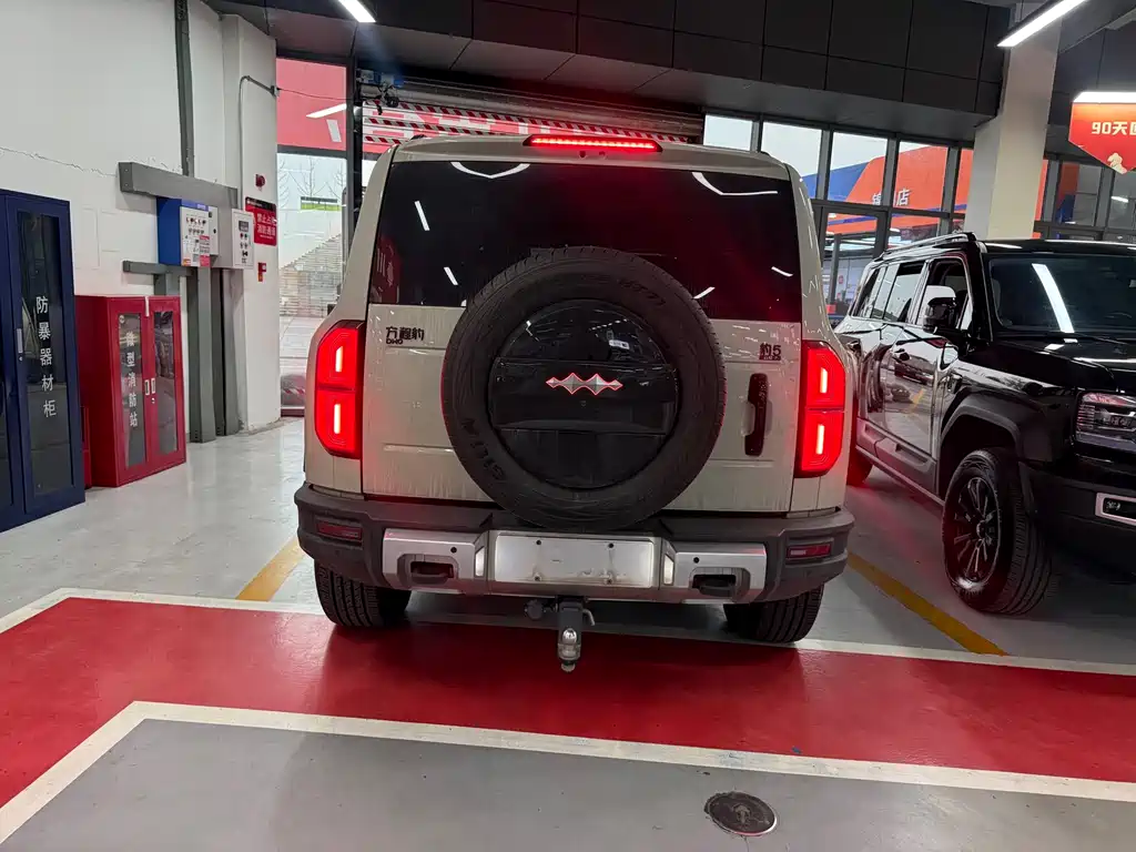 FANG CHENG BAO LEOPARD 5