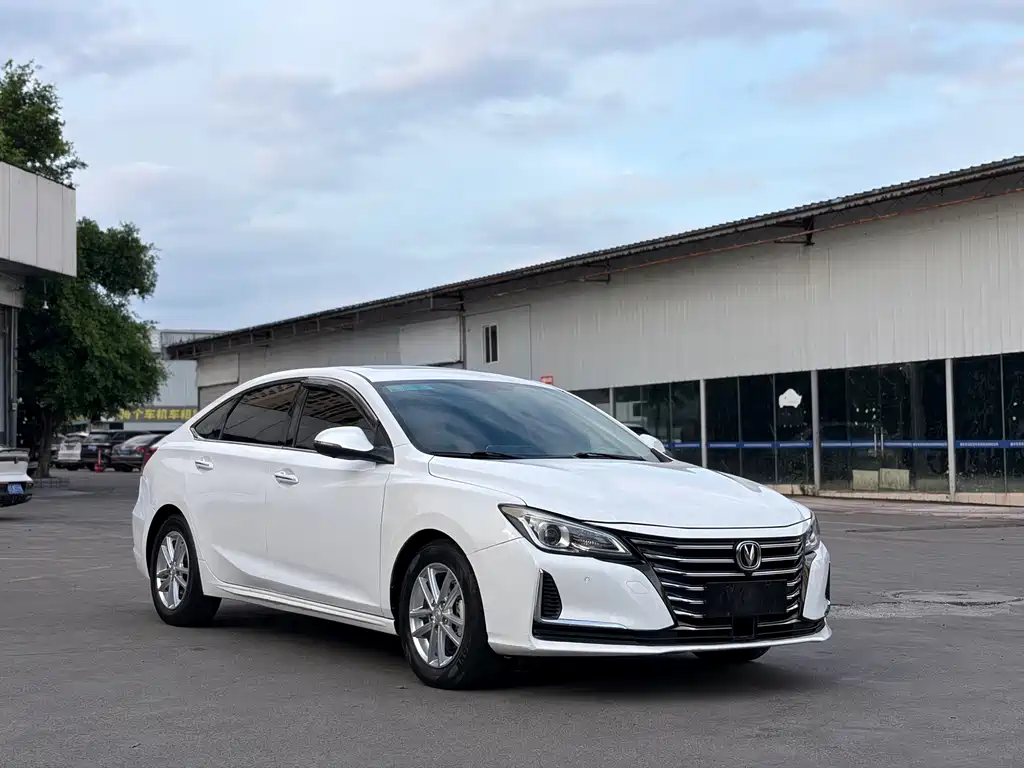 2022 Changan Raeton - zdjęcie 1 z 12