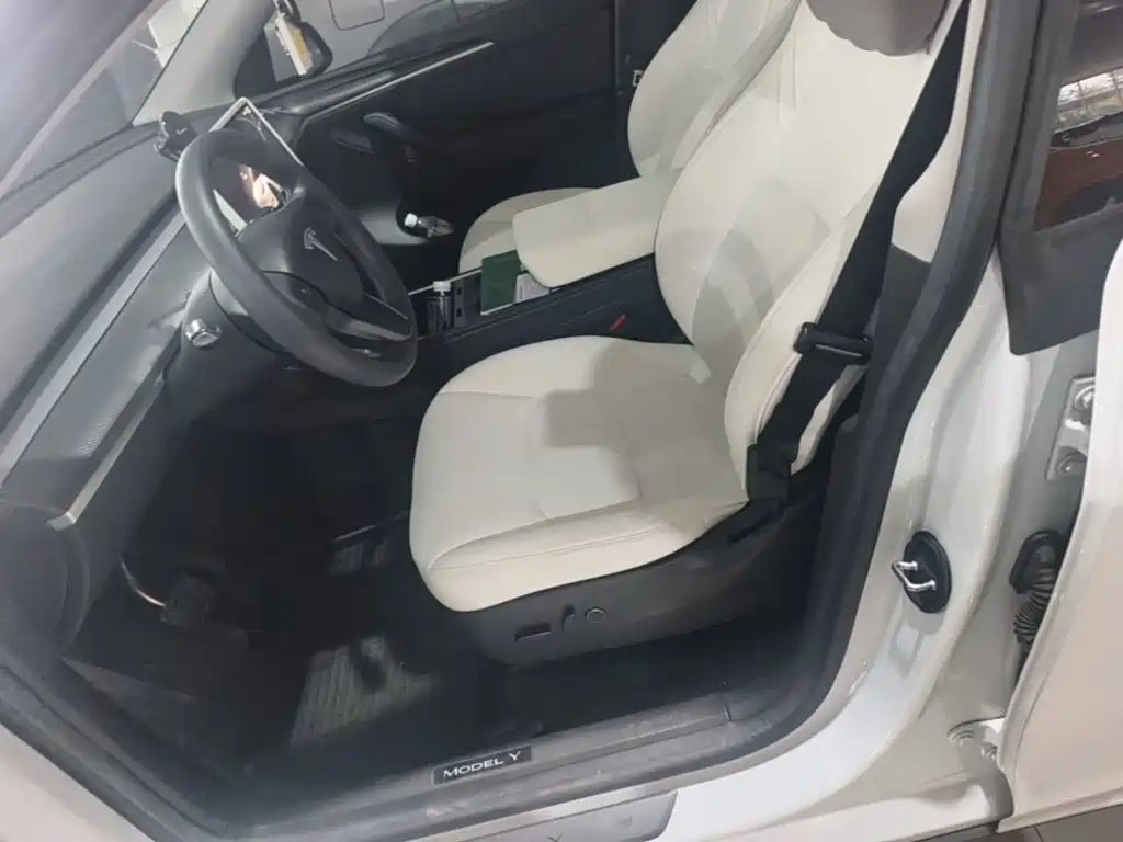 Tesla Model Y — миниатюра 15