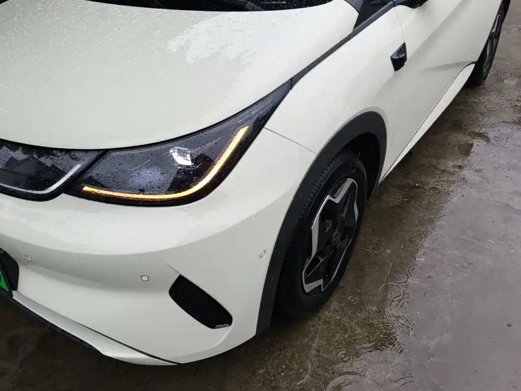 BYD Dolphin — миниатюра 24