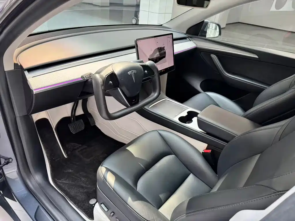 Tesla Model Y — миниатюра 11