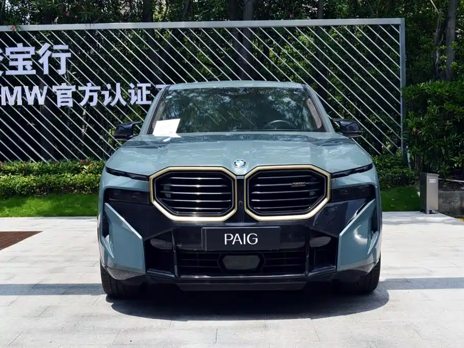 BMW XM — миниатюра 13