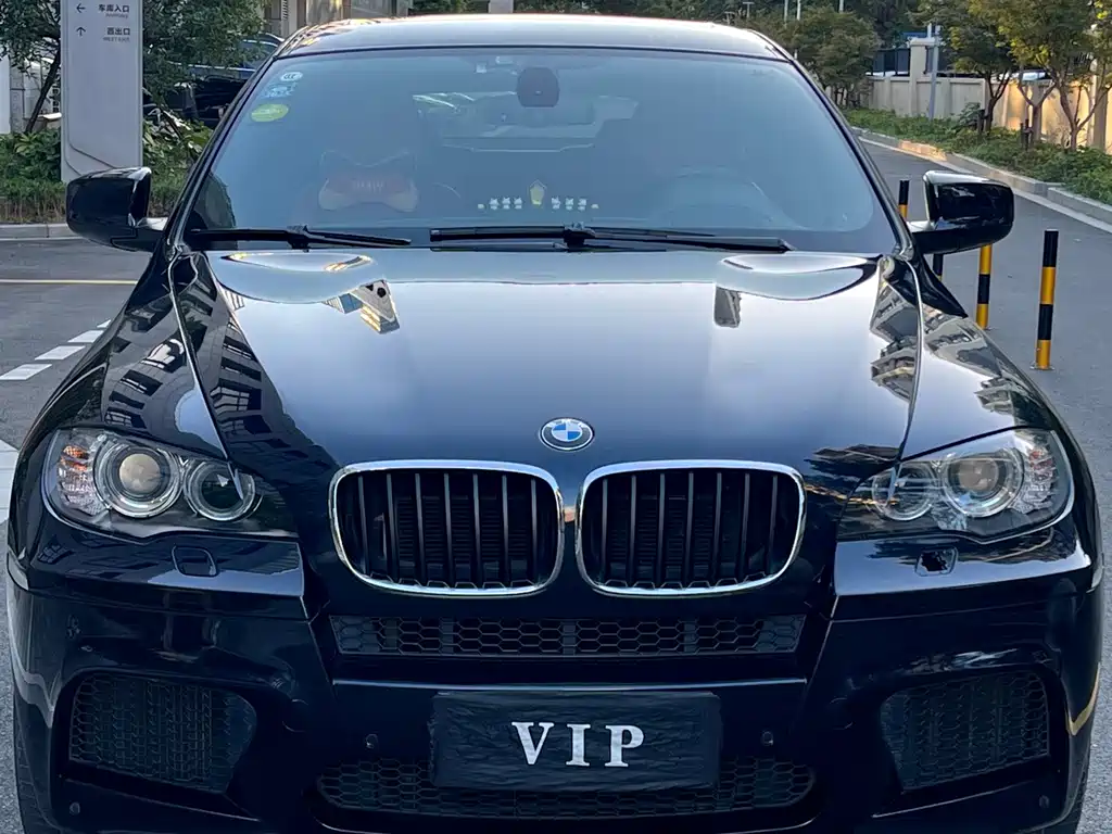 BMW X6 M — миниатюра 2