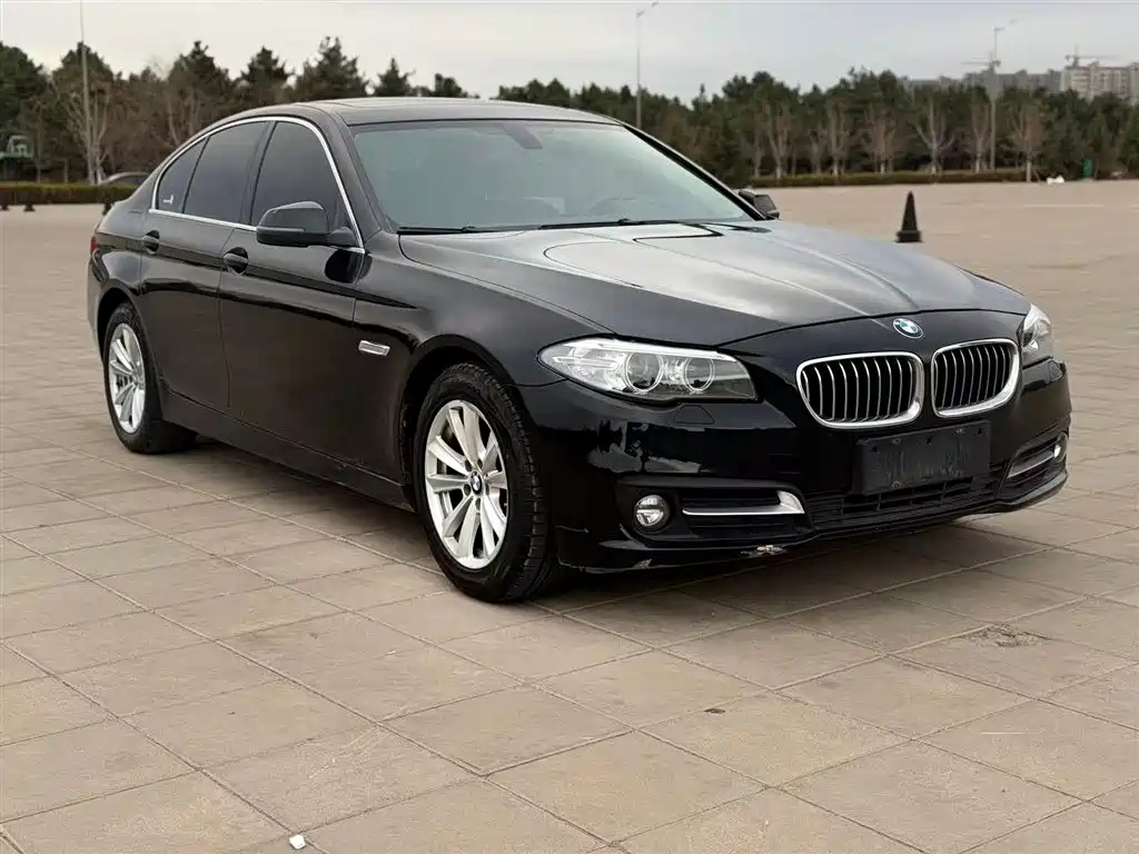 BMW 5 Series (Import) 2015