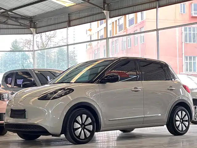 WULING WULING BINGGUO 2024