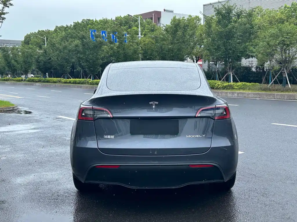 Tesla Model Y — миниатюра 4