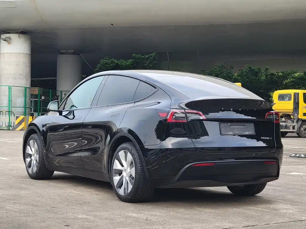 Tesla Model Y — миниатюра 12