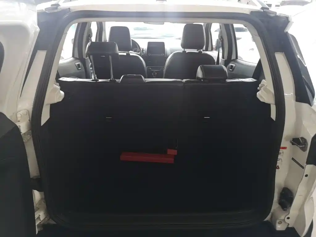 Ford Ecosport — миниатюра 19