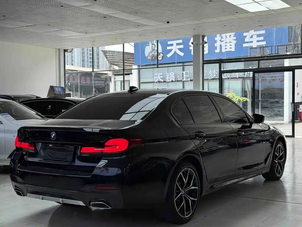 BMW 5 Series — миниатюра 6