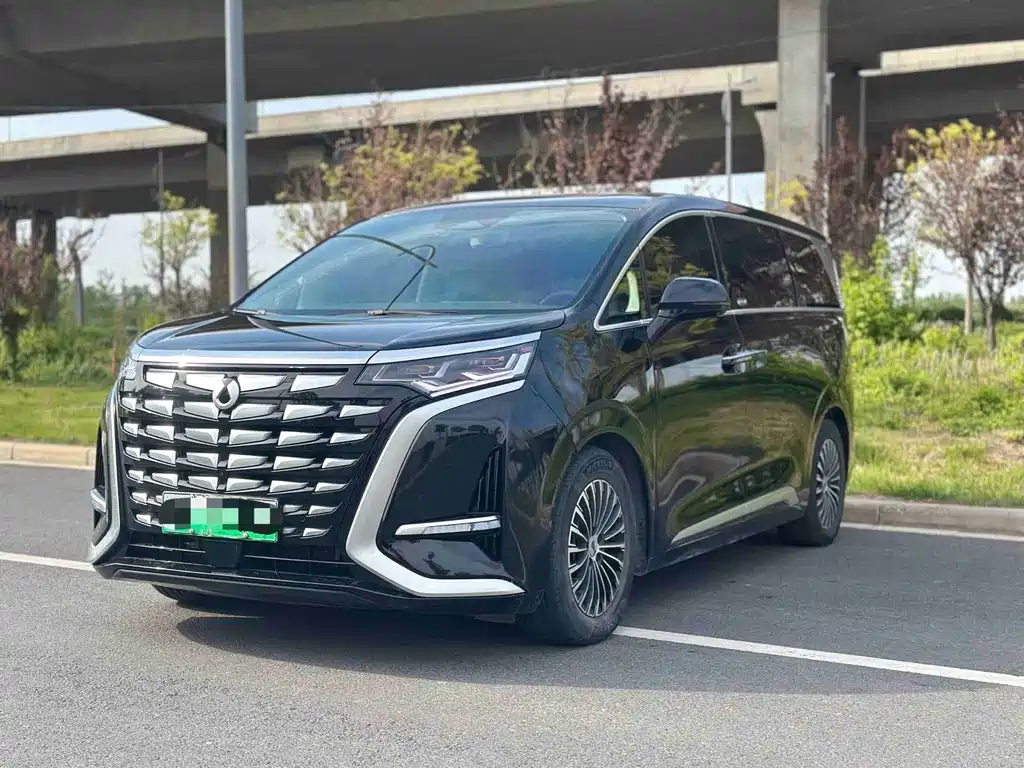 Denza Denza D9